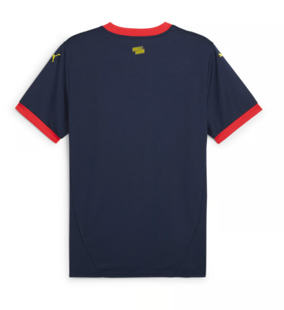 Girona 24/25 Men's Football Puma Away Shirt