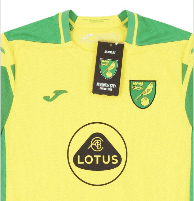 Norwich City FC 21/22 Junior Football Home Shirt